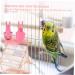 Angoily Parrot Flight Suit & Harness for Parakeets - Suede Size M & 4M - Shop Internationally - Buy Online on GoSupps.com