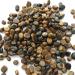 50g 100g 1000g Natural Yellow Tiger's Eye Stones - Crystal Healing Gravel for Fish Tanks & Flowerpots - Buy Online on GoSupps.com