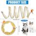 2pcs Folded Cat Tunnel Spring 10in Large Size Portable Cat Toy Spiral Tunnel with Synthetic Feather and Toy Mouse Tunnel Spring Outdoor Puppy Kitten Generic (Striped yellow Purple) - Buy Online on GoSupps.com
