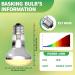 TobeBright Reptile Heat Lamp Bulb 80W Dimmable UV Bulb E27 Warm White Light Basking Spot Bulb UVA UVB Bulb Heat Bulb for Reptiles Habitats Puppy Terrarium and Vivarium-1Pack - Buy Online on GoSupps.com