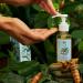 Buy Vegan Green Tea Facial Wash | Turmeric & Vitamins A & E | Mild Cleansing for All Skin Types | 100ml | Refreshing Face Cleanser - International Shipping Available - Buy Online on GoSupps.com
