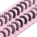 Strip Lashes False Lashes 10 Pairs 5 Styles Natural Look Clear Band Light Weight Wispy Faux Mink Russian Strip Lashes D Curl 3D Crisscross Multi-Layers False Fake Eyelashes - Buy Online on GoSupps.com