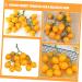 Ciieeo Simulated Small Tomatoes Models Fruit Photo Prop Faux Cherry Tomatoes Ornament Lifelike Fruit Fake Cherry Tomatoes for Decor Home Fruit Ornament Artificial Foam Fake Fruit Yellow 4.00X2.00X2.00CM - Buy Online on GoSupps.com