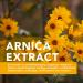Yoffee Arnika Relaxation Gel Roll-On & Massage Scooter 2-in-1 | Vegan Pain Relief for Back & Neck - 90ml Made in Spain - Buy Online on GoSupps.com