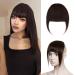 Silk-co One Piece Hair Bangs Fringe Hair Extensions Clip in Human Hair Extension #02 Dark Brown Straight Flat with Temple