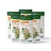 Four O'Clock Herbalist Digestive Herbal Tea Non-Gmo Kosher Gluten-Free 6 Pack of 20 Teabags