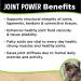 Super Snouts Joint Power Green Lipped Mussel Supplement for Dogs & Cats - 5.29 oz (Pack of 1) - Buy Online on GoSupps.com