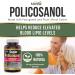 Herba Policosanol 20mg with Plant Sterols and Fenugreek - 120 Vegetable Capsules | Cholesterol Supplement to Lowering and Supporting Healthy Cholesterol Levels and Heart Health | Made in Canada - Buy Online on GoSupps.com