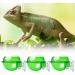 MEISH 3 Pieces Reptile Food Water Bowl Suction Cup Reptile Feeder Anti-Escape Reptile Food Bowl for Lizard Chameleon Gecko - Buy Online on GoSupps.com