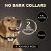 Bark Collar for Dogs - Vibration & Beep Modes - Rechargeable & Waterproof - Humane Training Collar for Small Medium Large Breeds - Buy Online on GoSupps.com