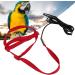 Buy Cyrank Bird Dishes & Adjustable Pet Leash for Outdoor Training | Perfect for Nymphensittich & Alexandriner Birds - Fast International Shipping - Buy Online on GoSupps.com
