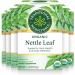 Traditional Medicinals Nettle Leaf 16 Count Tea Bags (6 Pack) Tea Nettle Leaf 16 Count (Pack of 6)