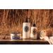 L'Occitane 15% Shea Butter Body Lotion | Nourishing & Protective Moisturizer | 8.4 Fl Oz - Buy Online on GoSupps.com