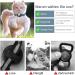 Jiarui Reflective AirTag Cat Neck Band - Adjustable GPS Collar with Bell for Cats & Puppies (Blue) 9-13 inch - Buy Online on GoSupps.com