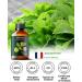 Melissa Essential Oil Pure Melissa Oil Mumianhua Lemon Balm Oil Uplifting Citrus-Herb Scent for Diffuser Skin Hair & Personal Care 3.38 Fl Oz Melissa-3.38 Oz - Buy Online on GoSupps.com
