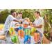 Zevia Zero Calorie Soda Rainbow Variety Pack - 24 Pack of 12 oz Cans - Buy Online on GoSupps.com
