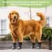 Mfsdai Anti-Slip Dog Socks Adjustable Velcro Fasteners for Small Medium & Large Dogs Non-Slip Grip for Hardwood Floors 3 Pairs - Buy Online on GoSupps.com