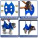 Buy Ovtexzog Dog Care Hammock Dishes - Claw Cutting Aid for Small Dogs (Up to 12kg) - Blue | International Shipping Available - Buy Online on GoSupps.com