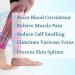 LIN PERFORMANCE Calf Compression Sleeves 20-30mmHg Support for Men and Women - Footless Lightweight Compression for Running, Cycling, and Travel - Circulation Boost, Pain Relief - Rose M - Buy Online on GoSupps.com