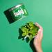 Kusmi Tea Organic Green Tea with Mint - Refreshing Iced & Hot Beverage - 100g Metal Tin - 40 Cups of Real Mint Flavor - Buy Online on GoSupps.com