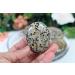 Buy Large Dalmatian Jasper Palm Stones - High-Quality Crystal Gemstones for Healing & Decor - Buy Online on GoSupps.com