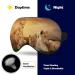 African Lions Sunset Sleep Mask - Adjustable Eye Cover for Sleeping & Travel - Blocks Light for Men and Women - Buy Online on GoSupps.com