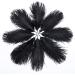 Hollosport 30PCS Black Ostrich Feathers 10-12 Inches for Centerpieces, Weddings, and Crafts - Buy Online on GoSupps.com