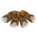Harfkoko Pet Heroic Anti-Slip Knit Dog Socks&Cat Socks with Rubber Reinforcement, Anti-Slip Knit Dog Paw Protector&Cat Paw Protector for Indoor Wear, Suitable for Small&Medium&Large Dogs&Cats Leopard grain Small