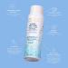 Pacifica Beauty Coco Peptide Damage Care Shampoo + Conditioner Set for Dry & Damaged Hair - Repair Bleach, Color, Chemical, and Heat Damage, Treat Split Ends & Breakage with Coconut Peptide - Buy Online on GoSupps.com