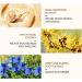 Snail Mucin Moisturiser Snail Mucin Cream Snail Mucin Moisturiser Face Women & Men Anti Aging Face Cream Face Moisturiser for Dry Skin Day & Night Face Cream with Lifting & Anti Wrinkle - Buy Online on GoSupps.com
