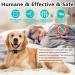 Supernight Citronella Anti Barking Spray Collar - Safe & Humane Dog Training Device with Rechargeable Feature and Adjustable Straps - Buy Online on GoSupps.com