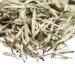 Earth To Skin Tea Time White Tea Anti-Aging Face Cleanser - 4.7 Fl Oz - Buy Online on GoSupps.com