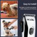 Stainless Steel Replacement Blade for Andis PM-1 Speedmaster Clippers - Model 22995 - Buy Online on GoSupps.com