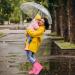 Chcaes Waterproof Bicycle Overshoes for Men & Women - Pink - Rain Protection & Reflective Strips - Buy Online on GoSupps.com