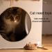 2 Pack Interactive Cat Toys - Feather Squeaky Bird & Mouse Kitten Plush Toys - Motion Activated Melody Chaser - Ideal for Indoor Cats - Three Dogs & A Cat - Buy Online on GoSupps.com