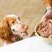 Edgard & Cooper Dog P t (Lamb & Beef 300g x 18) Grain Free Fresh Meat & Quality Protein Real Ingredients for Dogs Hypoallergenic No Added Sugars - Buy Online on GoSupps.com