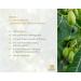 Maharishi Ayurveda Neem Powder - High Dose Vegetarian Vegan 60 Tablets | Organic Neem Tree Supplement - Buy Online on GoSupps.com