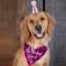 easycozy Classic Pink Plaid Pet Puppy Dog Bandana with Dog Birthday Party Hat Accessories Girl Dog Birthday Bandana Scarf Bibs for Pet Birthday Outfit Party Supplies Set - Buy Online on GoSupps.com