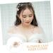 WOFASHPURET Hair Comb Rhinestone Tiara Headband Birthday Headpiece Hair Styling Accessories Aesthetic Hair Accessories Wedding Headdresss Flower Clips Bride Hair Piece Hanfu Alloy - Buy Online on GoSupps.com