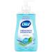 Dial Antibacterial Liquid Hand Soap Spring Water 325ml Spring Water 325 ml (Pack of 1)