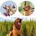 Esforzarse Dog Whistle Training 3 Pcs Puppy Training Dog Training Whistles with Lanyards Dog Whistles That Makes Dogs Come to You with Lanyard Blue Black and White - Buy Online on GoSupps.com