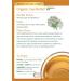 Organic Gas Relief Tea | Traditional Medicinals | Caffeine-Free | 16 Wrapped Bags - Buy Online on GoSupps.com
