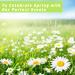 Spring Fragrance Oils Gift Set - ESSLUX Premium Scented Oils for Home Diffuser, Soap & Candle Making - Aromatherapy Essential Oil Blend with Rose, Lily, Peppermint Grass & More - Buy Online on GoSupps.com