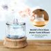 Glass Essential Oil Diffuser Humidifier [Plastic Free] - Natural Wood Base, Waterless Auto Shut-Off, 7 Colors Lights - 80 ML Cordless Aroma Diffuser for Home, Bedroom, Office - Ideal Gift for Mom, Wife - Buy Now! - Buy Online on GoSupps.com