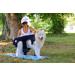 Incontinence Pants for Dogs - High-Quality Neoprene Protection Black XL - Functions for Bitches - Buy Online on GoSupps.com