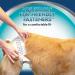 Simple Solution Dog Diapers L - Ultra Absorbent & Leak Proof | International Shipping Available - Buy Online on GoSupps.com