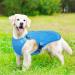 Kuoser Cool Vest for Dogs | Cooling Jacket & Coat | Blue M - Perfect for Outdoor Activities & Training - Buy Online on GoSupps.com