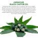  Accelerate Hair Growth 100% Organic Natural Cold Pressed Castor Oil for Hair Damaged Hair Treatment for Body Nails Eyelashes Eyebrows 60ml - Buy Online on GoSupps.com
