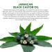 CLOXENY Organic Castor Oil for Hair Growth, Eyelashes, and Eyebrows - Jamaican Black Castor Oil Treatment for Dry Damaged Hair, Skin, and Nails - 2.02 Fl.Oz - Buy Online on GoSupps.com