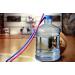 Hiware Extra Long 14.5 Reusable Silicone Straws for 1 Gallon Water Bottle - 2 Pack with Cleaning Brush - Buy Online on GoSupps.com
